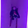 Gabriel Welsh - @gabsterwelsh - TikTok