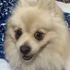 Gabriel Werner - @gabriel.werner06 - TikTok