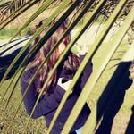 Sara Gabriela Schaffer - @saragabrielaschaffer - Instagram