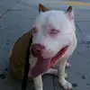 VIRGINIA_MARTÍNEZ_2001 - @gabriela.spanic1973 - TikTok