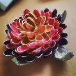Gabriela Thomas - @gabis.naturework - Instagram