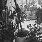 Gabriele Werner - @gabrielewerner65 - Instagram