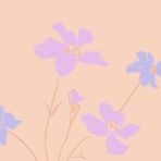 Gabriella Waters - Facebook
