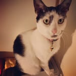 Gabriella Waters - @gabriellawaters626 - Instagram