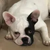 GabrielleBeard - @georgajmomt - TikTok