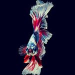 Gabrielle Brady - @gb181485 - Instagram