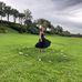 Gabrielle Rose Byrd - Facebook