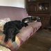Gabrielle Conan - Facebook