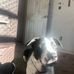 Gabrielle Gregory - Facebook