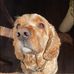 Gabrielle Hebert - Facebook