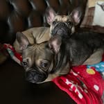 Gabrielle Jacques - @gabrielle.jacques.7 - Instagram