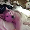 Gabrielle Lambert806 - @gabriellelambert0 - TikTok