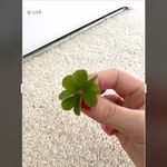Gabrielle Long - @gabrielle.kiwi - Instagram