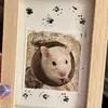 Nugget 🤍 - @gabrielle.mann - TikTok