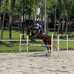 Gabrielle Marin - @gabriellemarin_equestrian - Instagram