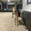 Gabrielle Ring - @gabrielleenalisia - TikTok