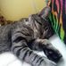 Gabriella Ruby - Facebook