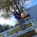 Robi Gabriela - Facebook