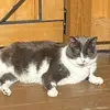 Gabby is Thebes - @gabriellesharp155 - TikTok