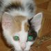 Gabrielle Marie Willard - Facebook