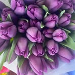 Gabrielle Windsor - Facebook