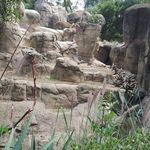 Gaby Mejia - @gabymejia581 - Instagram