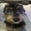 gabriiiiiii - @gaby.murphy - TikTok