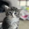 GabyOchoa - @gabyochoa746 - TikTok