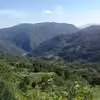 gabytello19 - @gaby.tello77 - TikTok