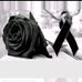 Gaby Vera - Facebook