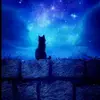 Gaby Walker - @gaby.walker1 - TikTok