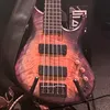 Gad Bass Levy - @gadlevymuse - TikTok