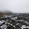 gadlevy2428 - @gadlevy - TikTok