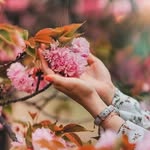 Gadeer Ali - @gadeer.ali.10297 - Instagram