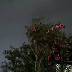 Gadeer Bujbarh - @gadeer.ali.b - Instagram