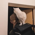 Thomas - @thomas.gaed - Instagram