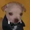 @GB - @gaelbrockman1 - TikTok
