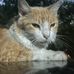 Gael Johnson  - Facebook