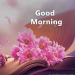gagan gujral - @gujral2975 - Instagram