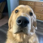 Gage Armstrong - @gage_2011_ - Instagram