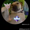 Gage Barrett - @gage.barrett5 - TikTok