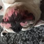 Gage Baxter - @gage4055 - Instagram