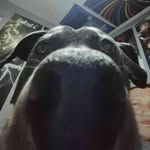 Gage Basinger - @gagebasinger - Instagram