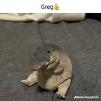 Gage Beebe - Facebook