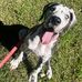 Gage Blevins - Facebook