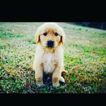 Gage Booth - @bama_boy_forlife - Instagram
