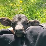 Gage Bryan - Facebook