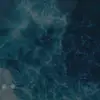 Gage Carter - @curly.head_gage - TikTok