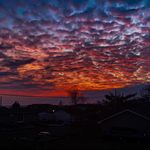 Gage Davidson - @g.ag_e - Instagram