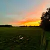 Gage Ewing - @gage.ewing - TikTok